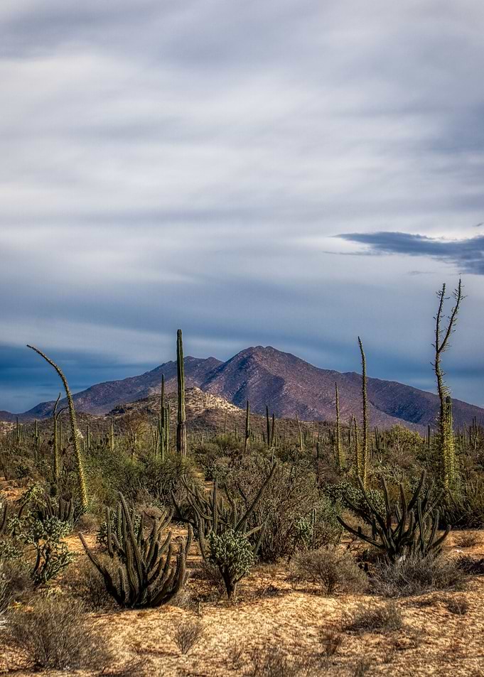 Desert Before The Rain
