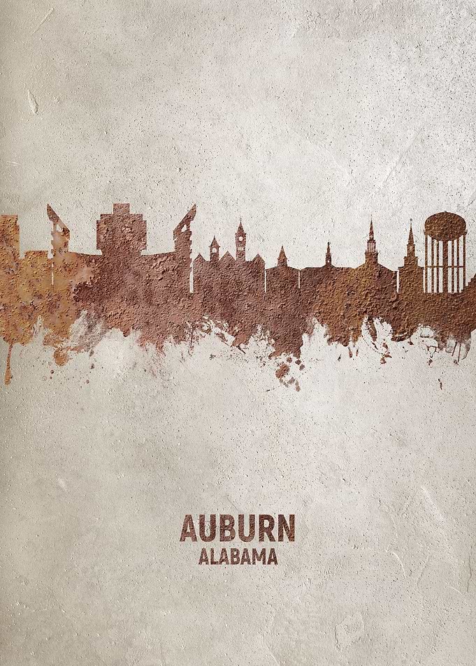 Auburn Alabama Skyline