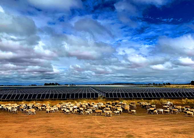 Solar farm