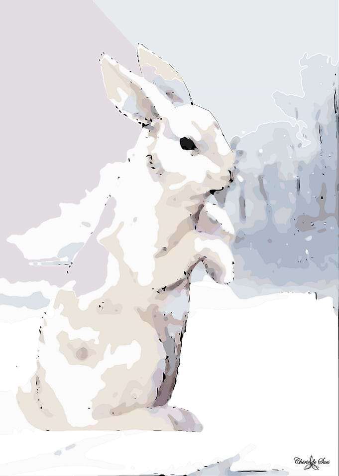 White Snow Hare