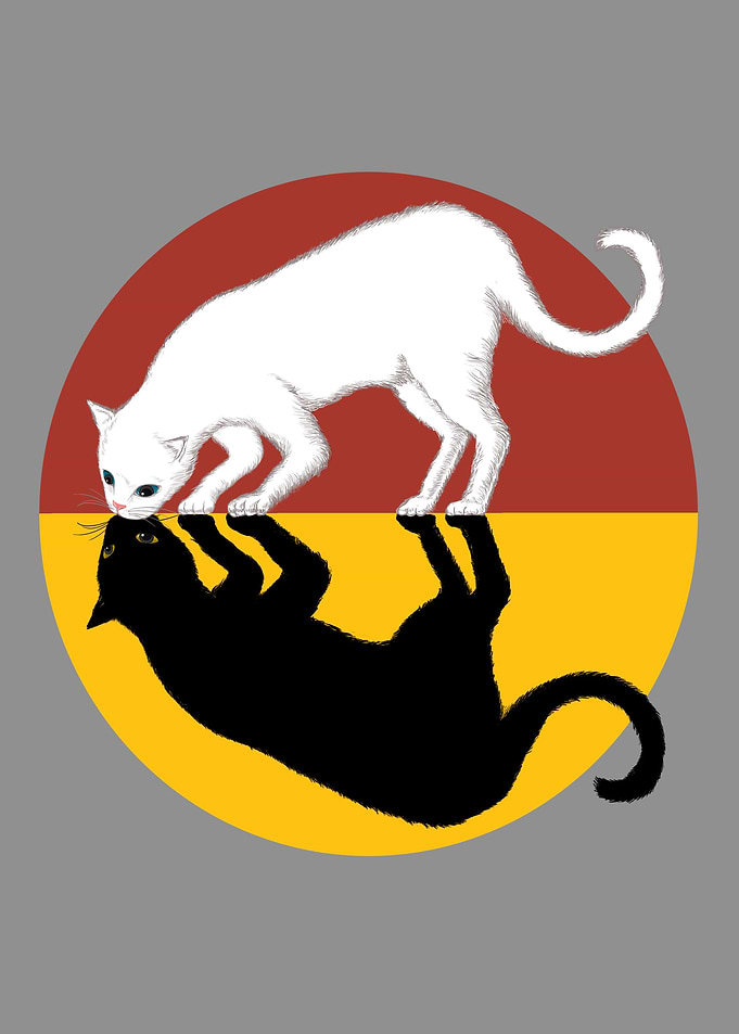 Solar and Lunar Cat