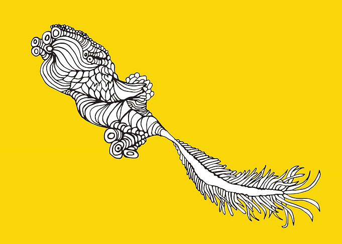 Mermaid Bird