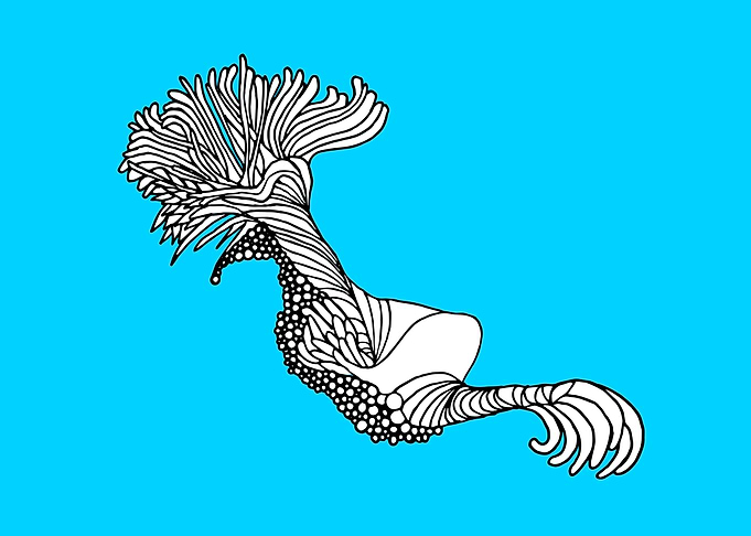 Twirly Mop Fish