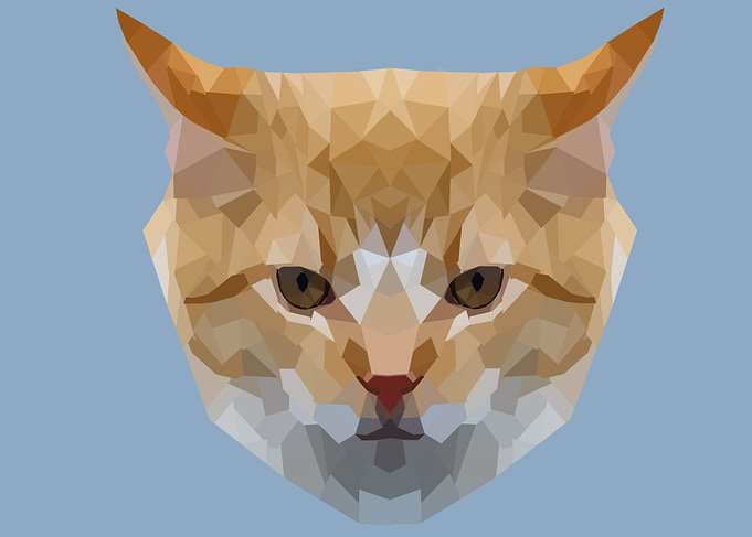 Cat puzzle