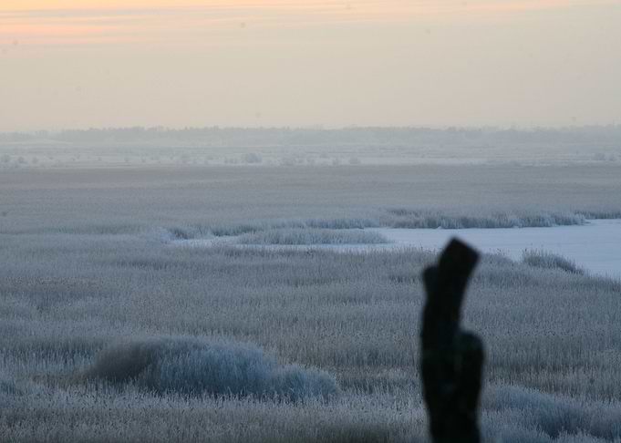 Winter Morning Lake
