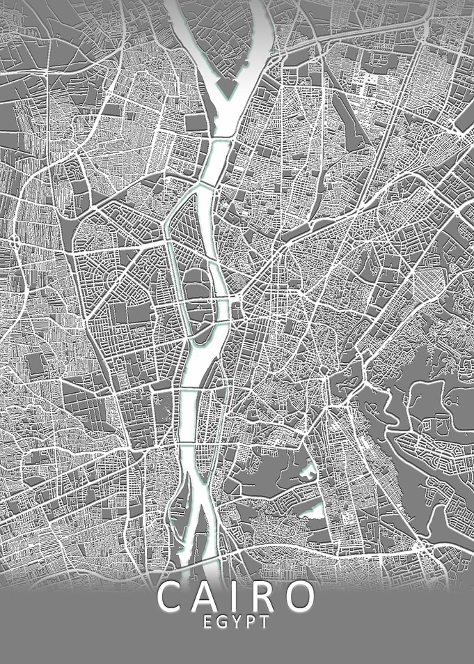 Cairo Grey City Map