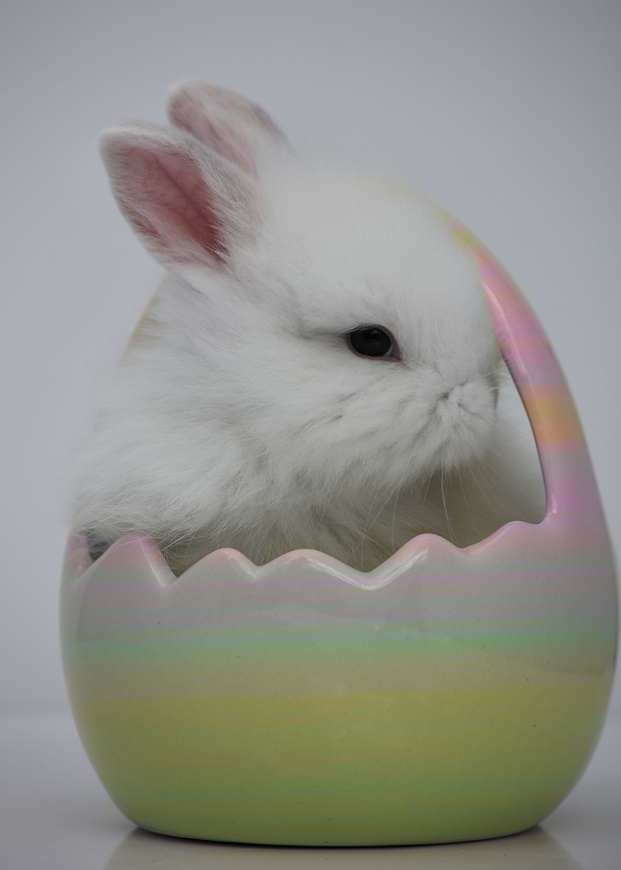Easter stuffer