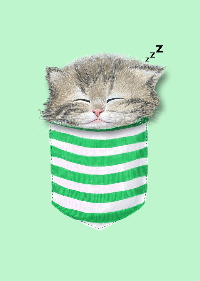 Cat in the pocket
