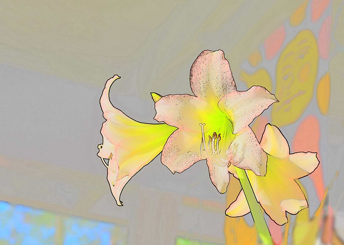 Lilies on the Porch