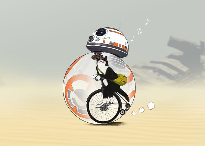 Cat and Droid inside