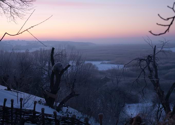 Winter Morning