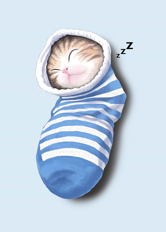 Cat in the sock