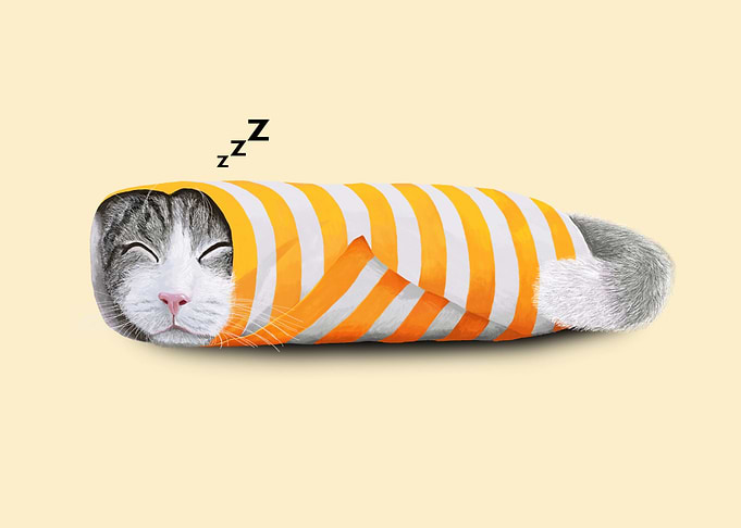 Cat in the paper
