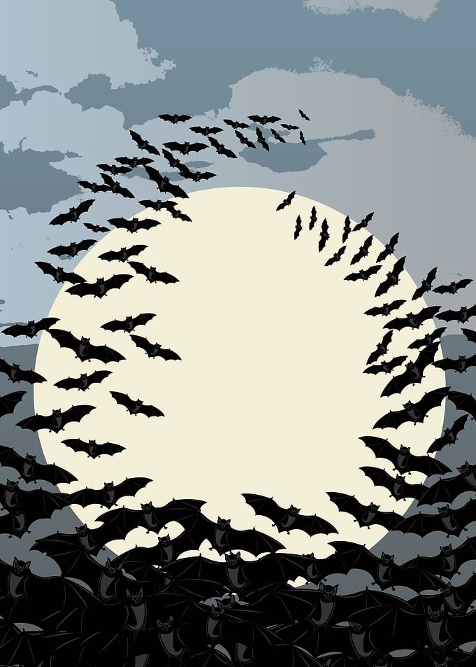 Swarm of Bats