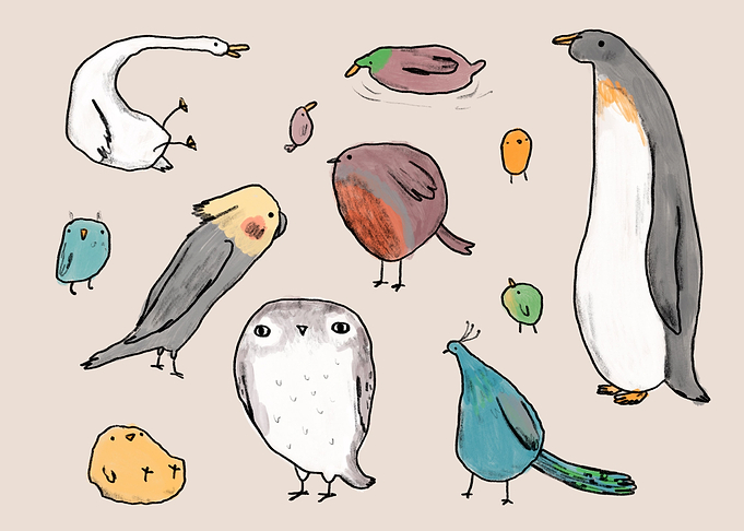 Lump Birds