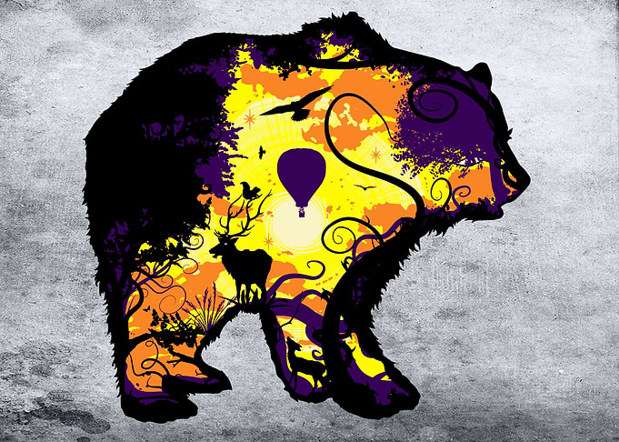Nature bear