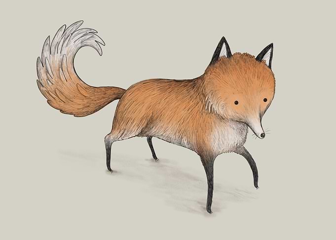 Little Fox