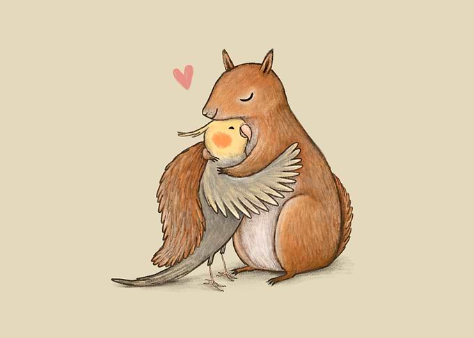 Cockatiel and Squirrel