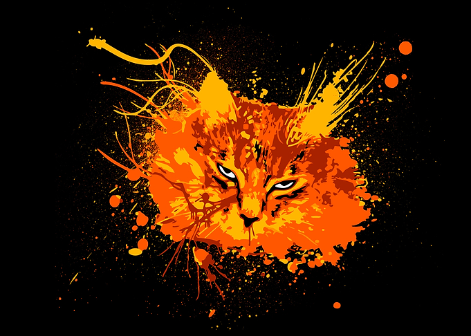 CAT LOOK