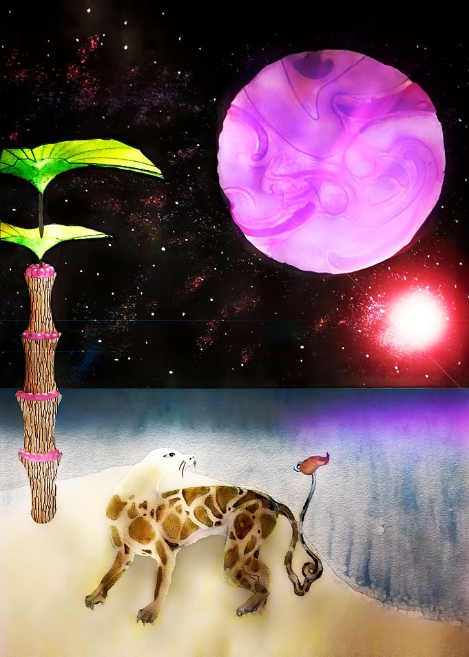 Planet 6