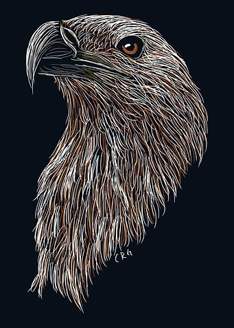 Eagle