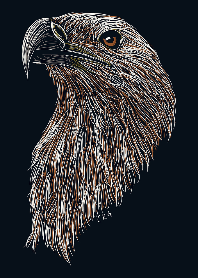 Eagle