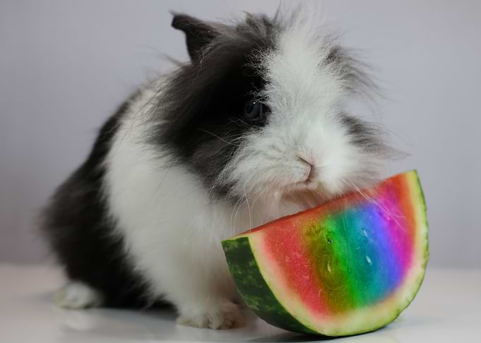 Juicy Watermelon