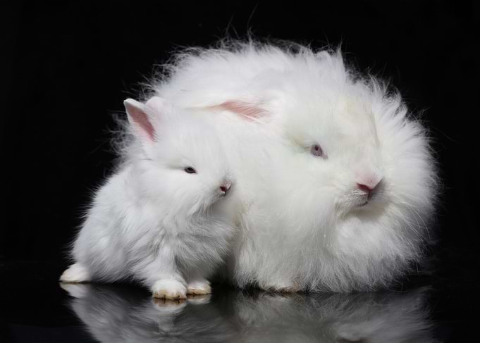 Mommy and me