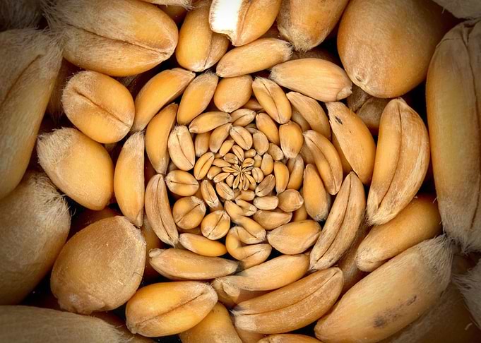vortex of food