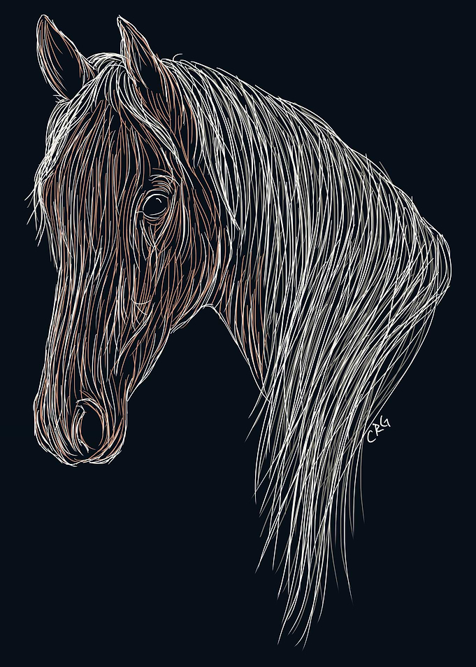 Wild Horse