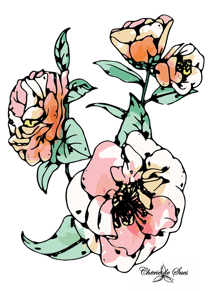 Pink Camellia Flowers