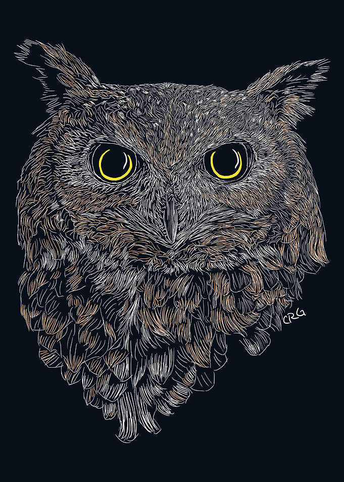 Great Horned Owl