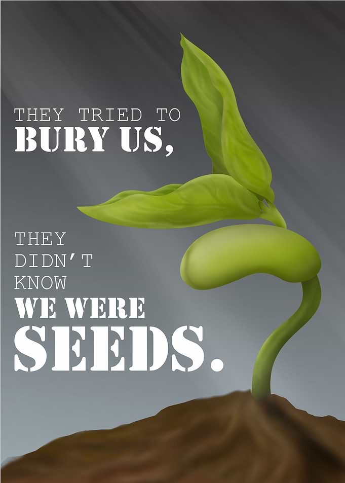 Mexican Proverb Quote