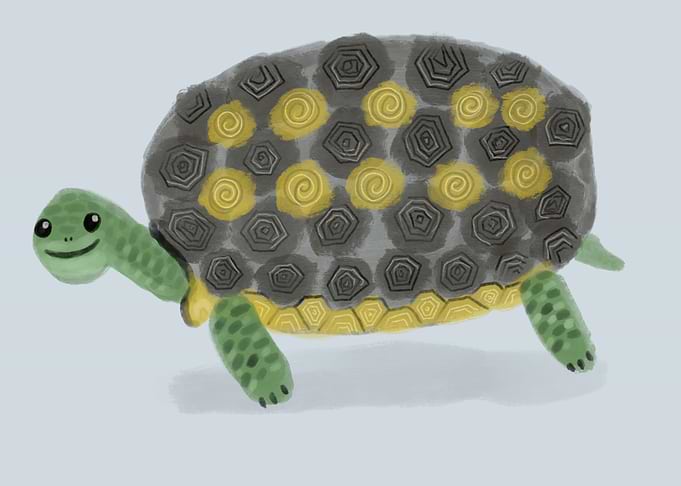 Tortoise