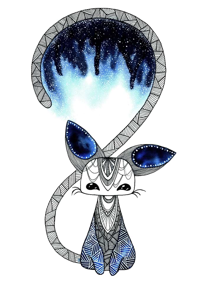Night cat