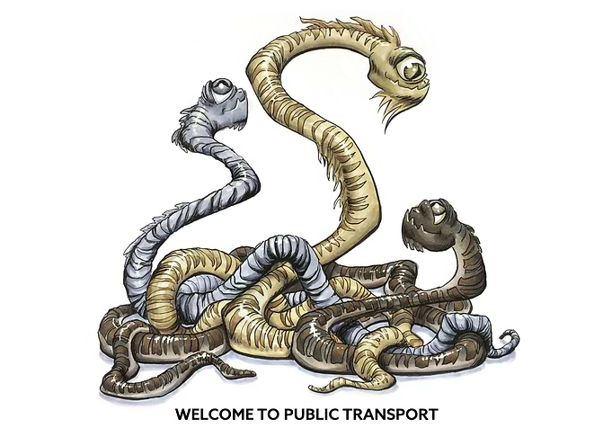Public Transport