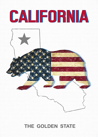 CALIFORNIA STATE