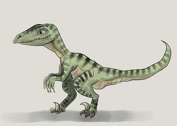 Velociraptor illustration