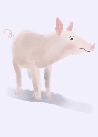 Pink Piggy