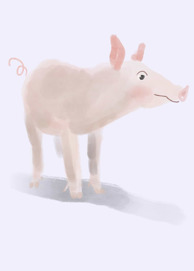 Pink Piggy