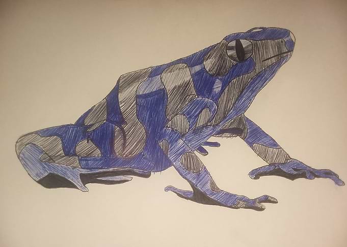 Poisonous frog