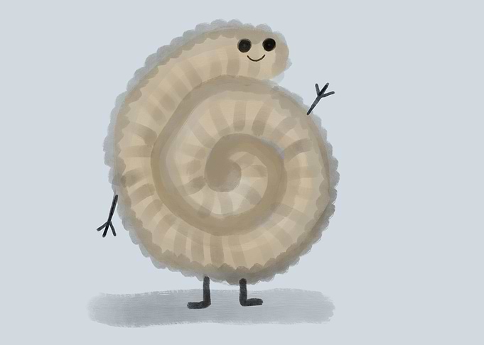 A trilobite