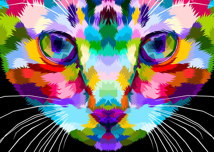 close up of face kitten