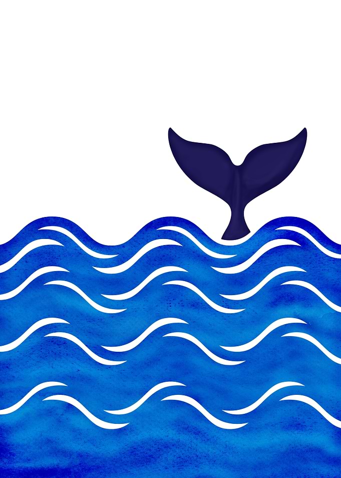 Watercolor Whale Tail