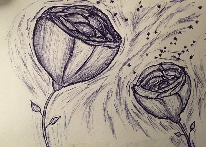 Bloom