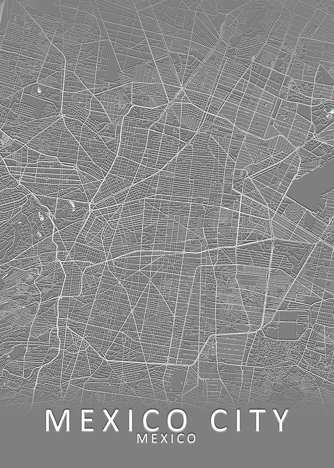 Mexico City Grey City Map