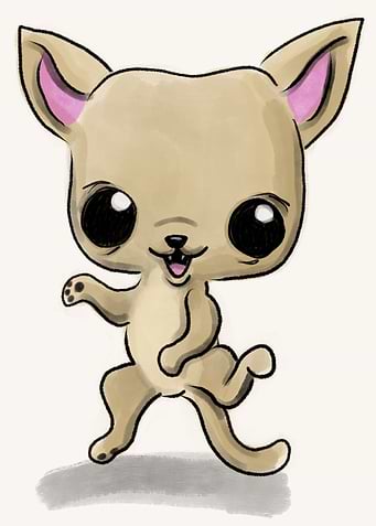 Cute Chihuahua