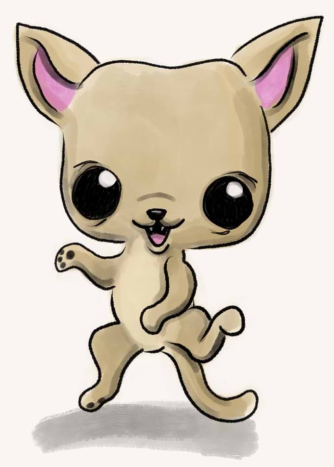 Cute Chihuahua