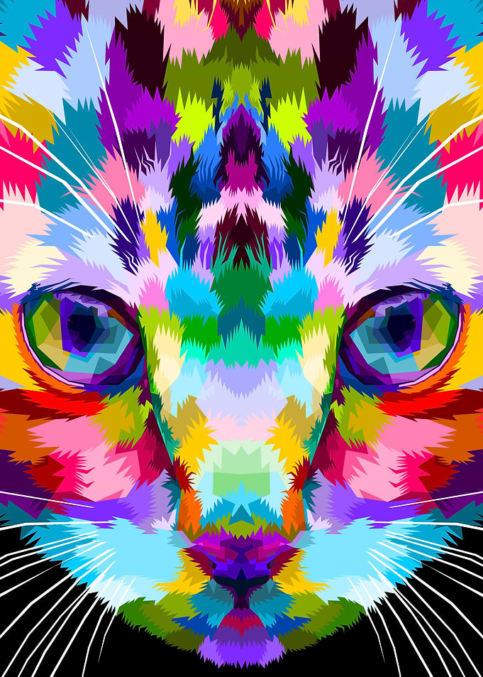 close up of kitten