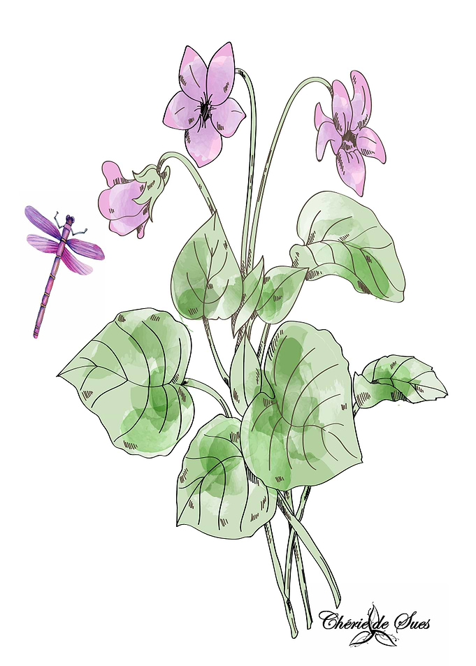 Violets Attract Dragonfly